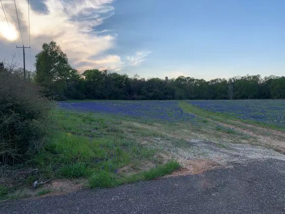 Sandy Pines RV Park Picture 1