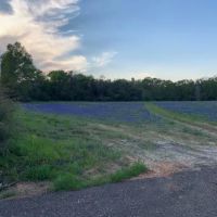 Sandy Pines RV Park ico