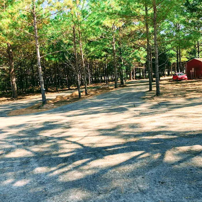 Sandy Pines RV Park Picture 5