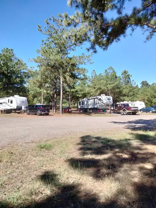 Sandy Pines RV Park Picture 6