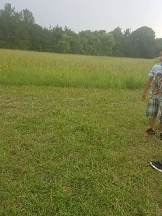 Wildwood RV Park Picture 4