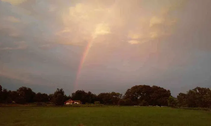 Wildwood RV Park Picture 1