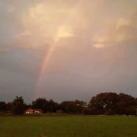 Wildwood RV Park ico