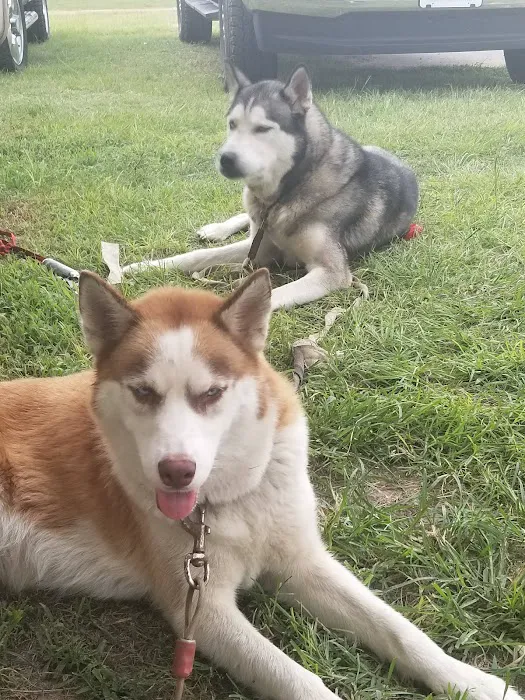 Wildwood RV Park Picture 9