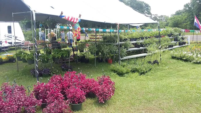 Crockett Trade Days and RV Park Picture 9