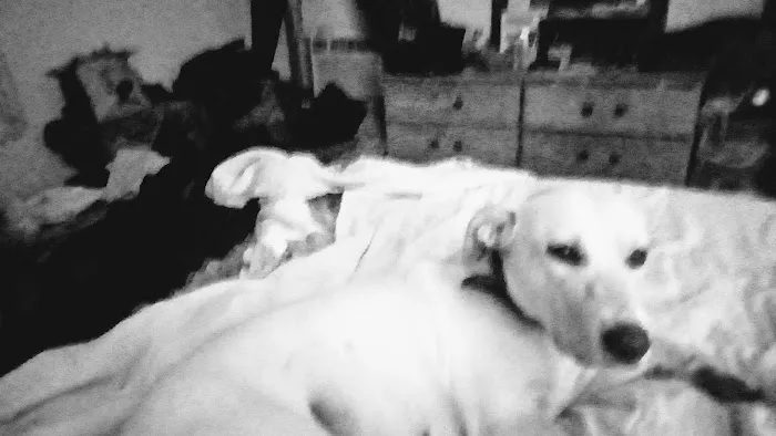 Snider Mobilehome & RV Park Picture 4