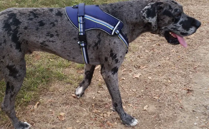 Legion RV Park Picture 7