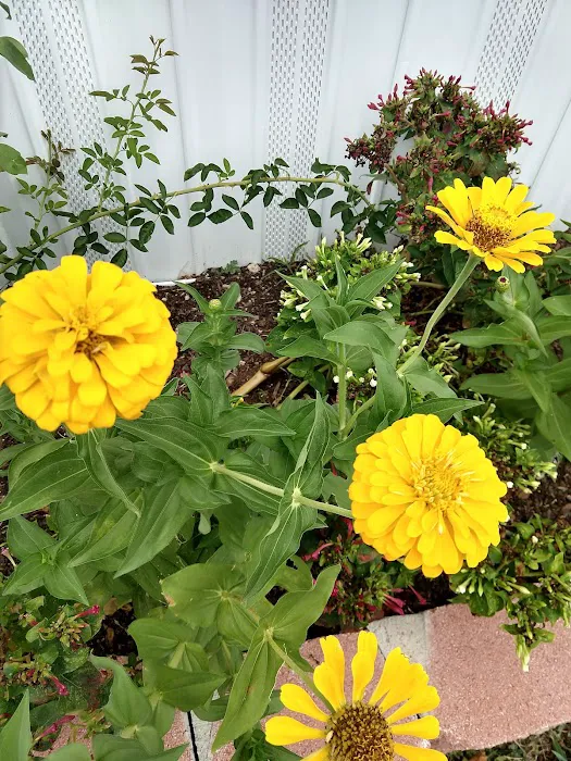 Timberstone Mobile Home Park Picture 6