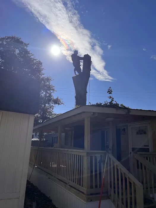 Timberstone Mobile Home Park Picture 4