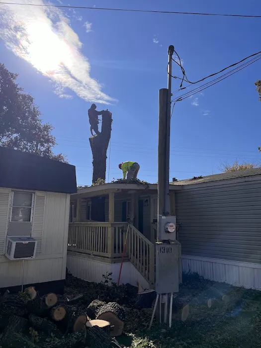 Timberstone Mobile Home Park Picture 5