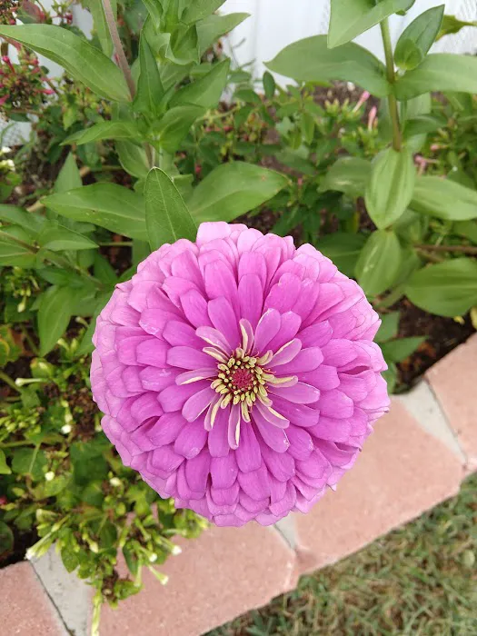 Timberstone Mobile Home Park Picture 3