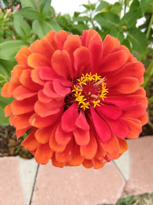 Timberstone Mobile Home Park Picture 7