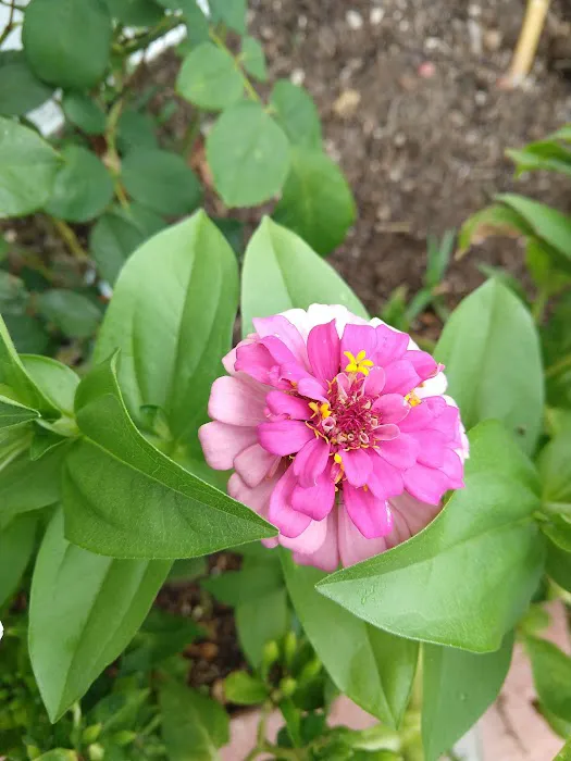 Timberstone Mobile Home Park Picture 9