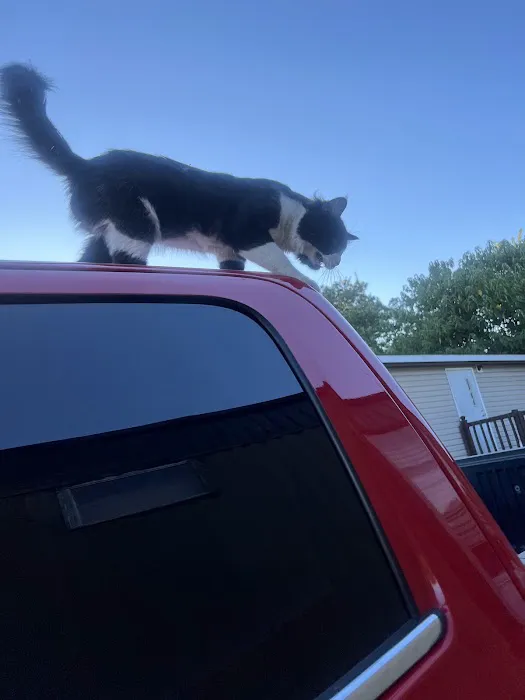 Lake Forest Mobile Home Park Picture 7