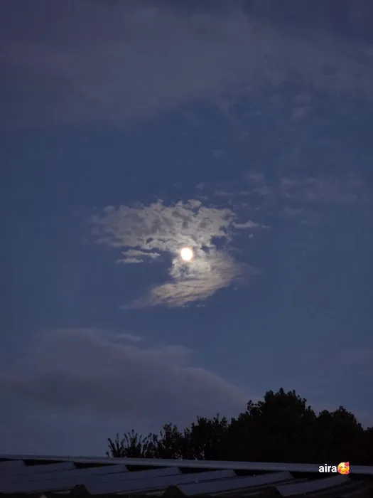 Lake Forest Mobile Home Park Picture 9