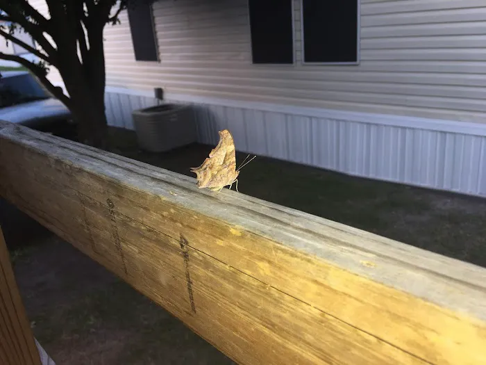 Colinas South Picture 5