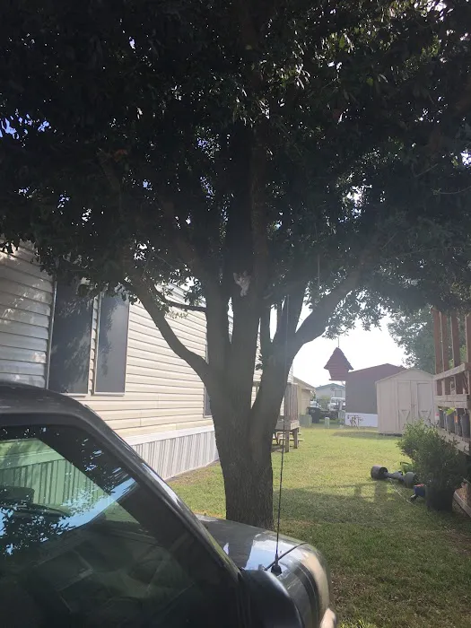 Colinas South Picture 6