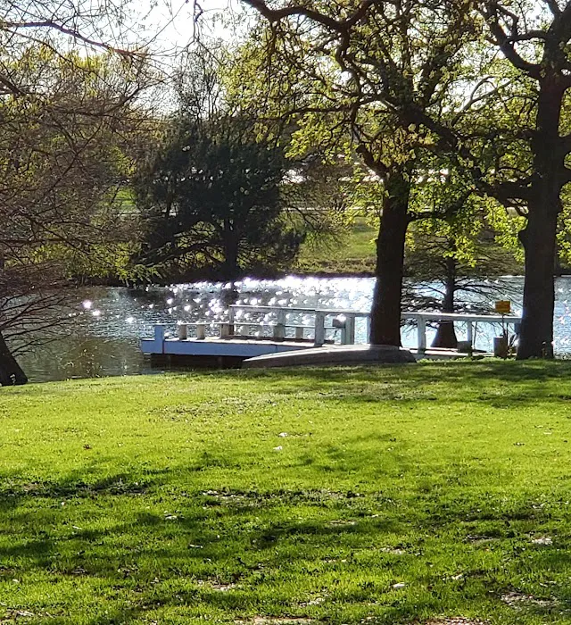 Camino del Bosque Picture 6