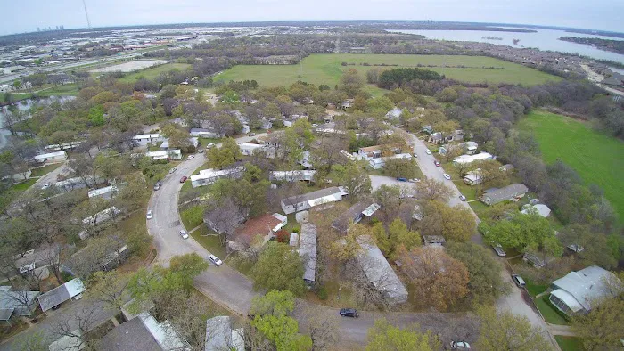 Camino del Bosque Picture 2