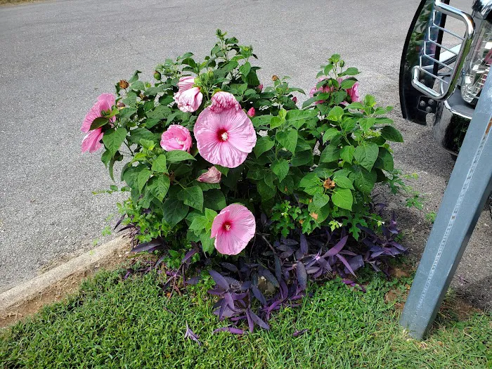 Redwood Estates Picture 7