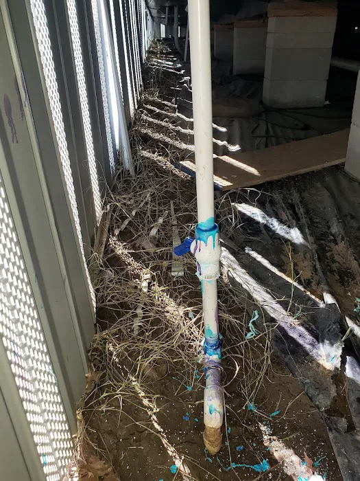 Forest Glen Manufactured Home Community Picture 7