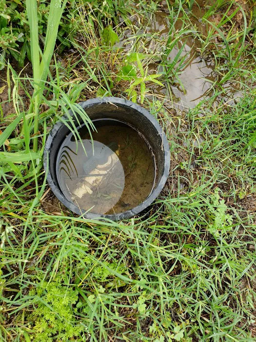 Forest Glen Manufactured Home Community Picture 4