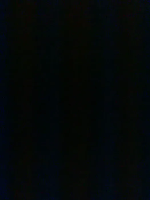 Willow Springs Picture 8