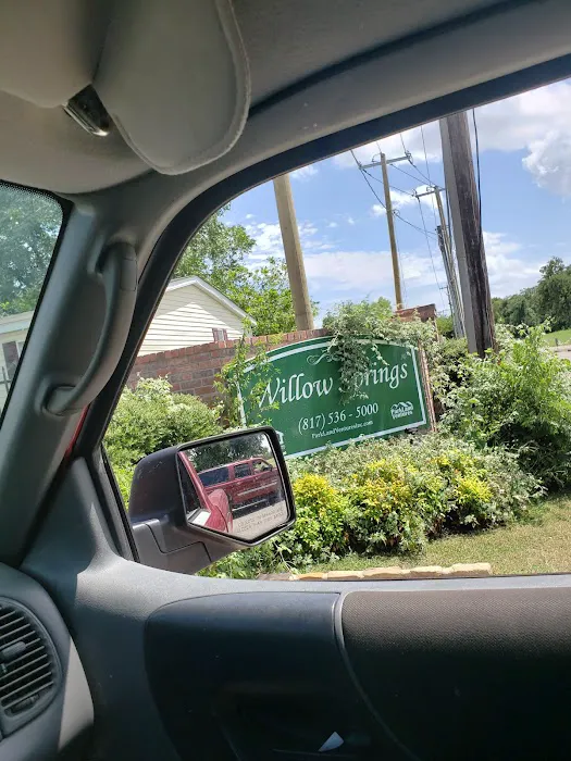 Willow Springs Picture 7