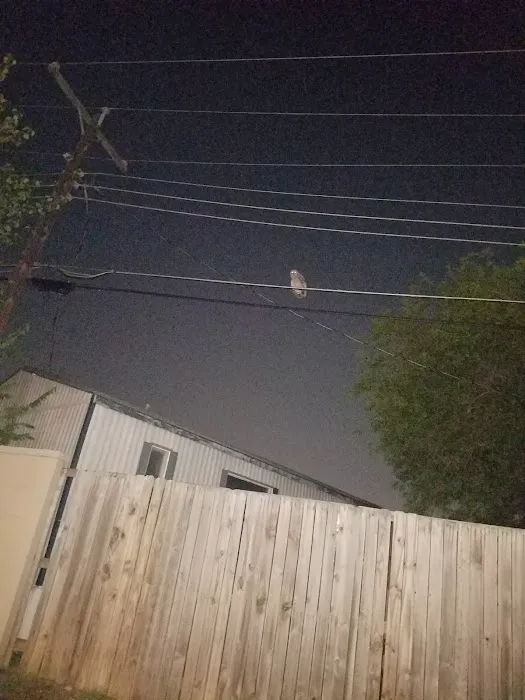 Royal Estates Picture 5