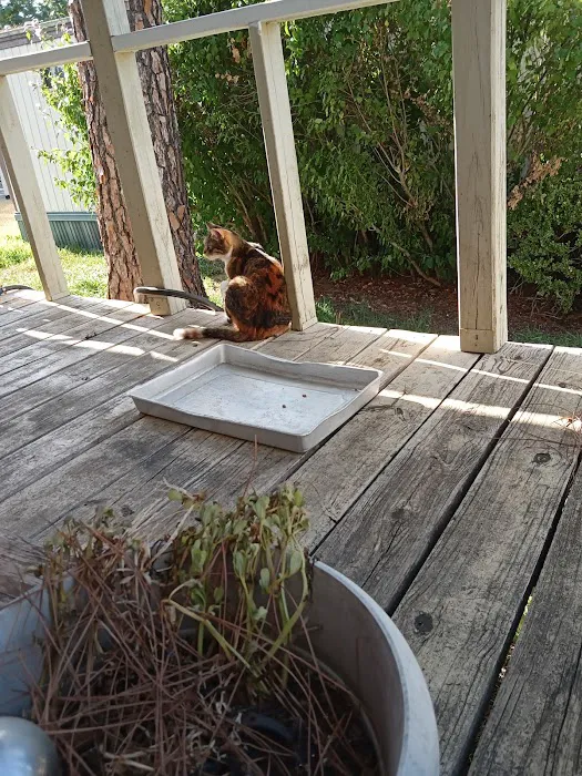 Knob Hill Mobile Home Park Picture 3