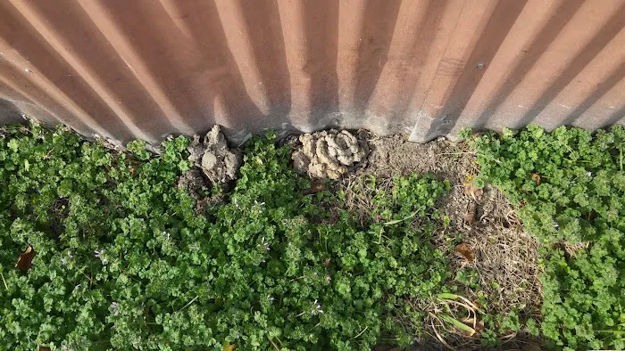 Sunset Mobile Home Park Picture 8