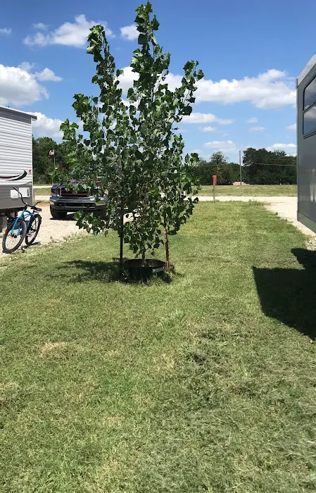 Fat Cat Rv Park Picture 7