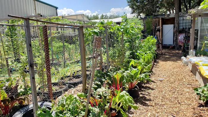 Old Rooster Creek RV and Storage Units Picture 6