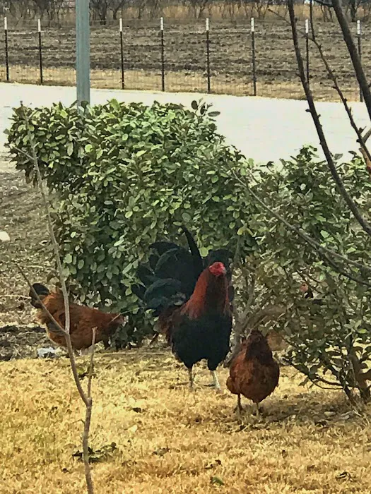 Lafon's RV Parks Picture 6