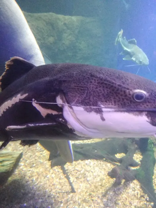 Lafon's RV Parks Picture 7