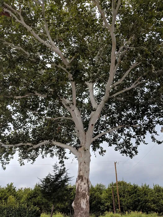 Bratonia RV Park Picture 1