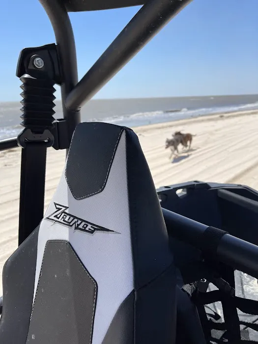 Cameron RV Park Picture 6