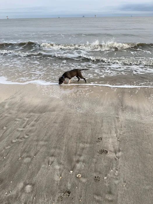 Cameron RV Park Picture 3