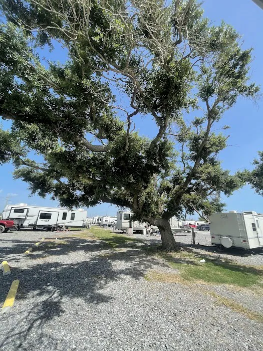 Cameron RV Park Picture 5