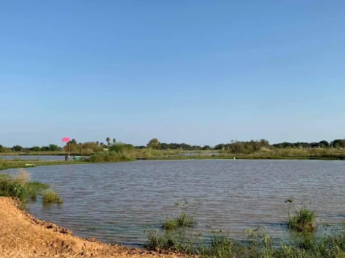 Brazos Bend RV Park & Storage Picture 2