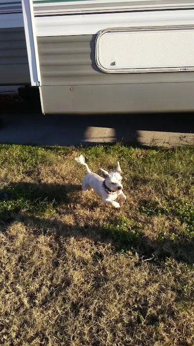 Action RV Park Picture 6