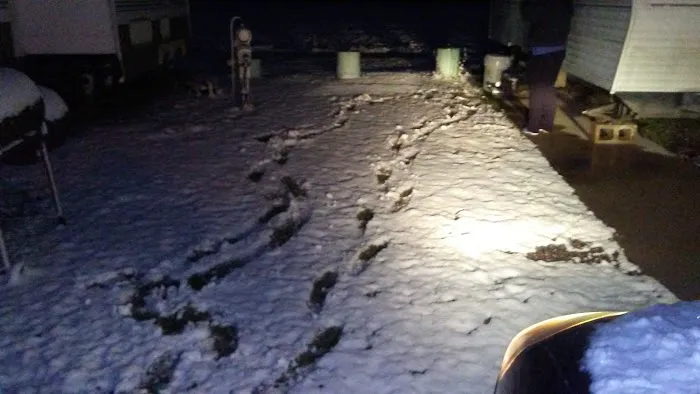 Action RV Park Picture 7