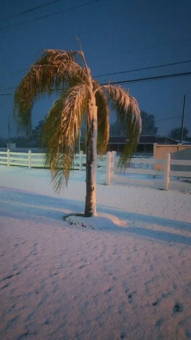 Buena Vista Estates Picture 1