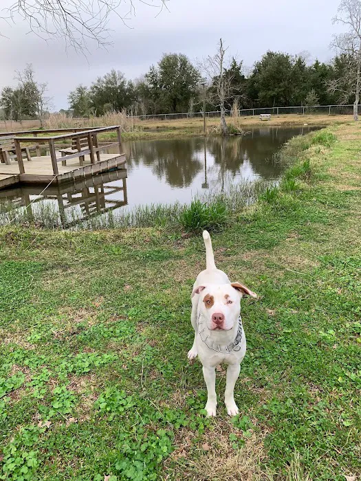 Lazy D RV Resort Picture 3