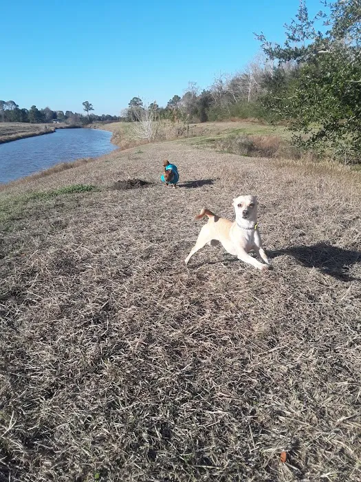 Lazy D RV Resort Picture 10