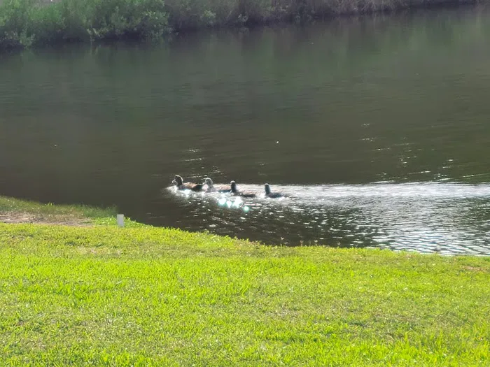 Hitchcock RV Park Picture 7