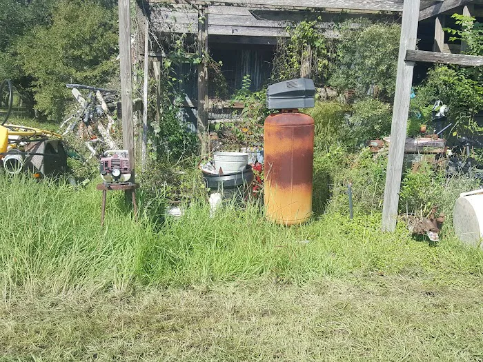 Dee's RV Park Picture 6