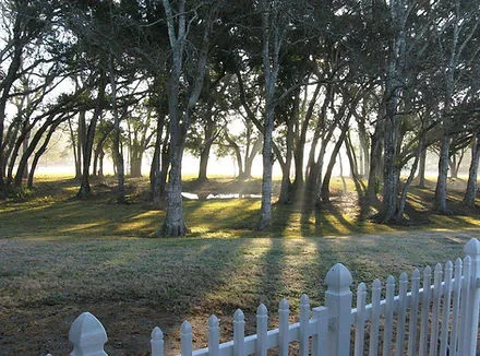 Dee's RV Park Picture 4