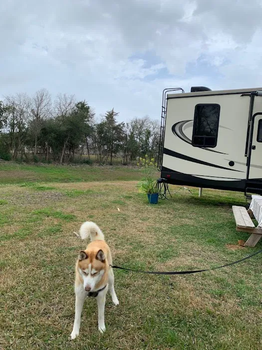 Little Thicket RV Park Picture 6