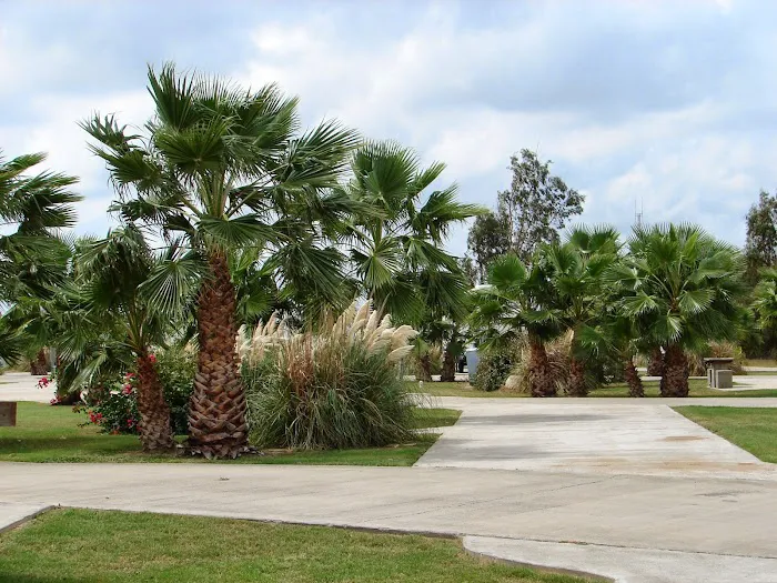 Ron Hoover Oasis RV Park Picture 6